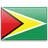 flag Guyana