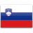flag Slovenya